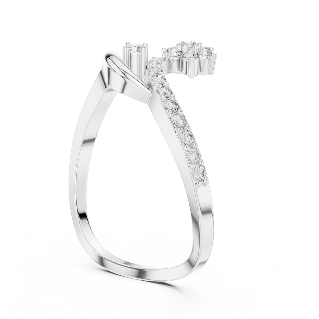 The Fancy Ring