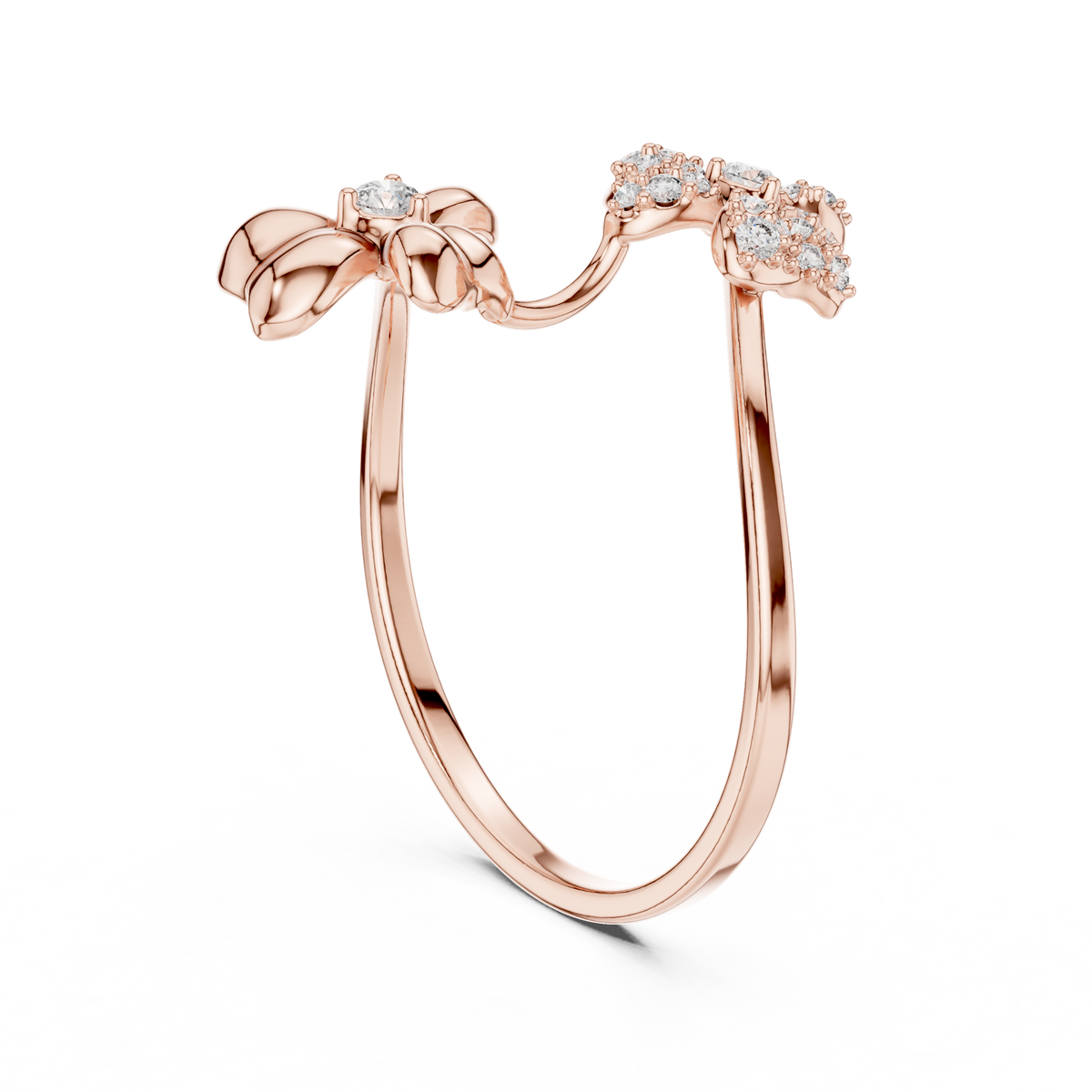 The Fancy Ring