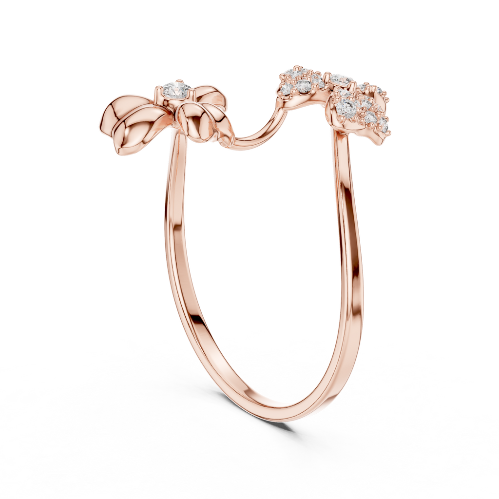 The Fancy Ring