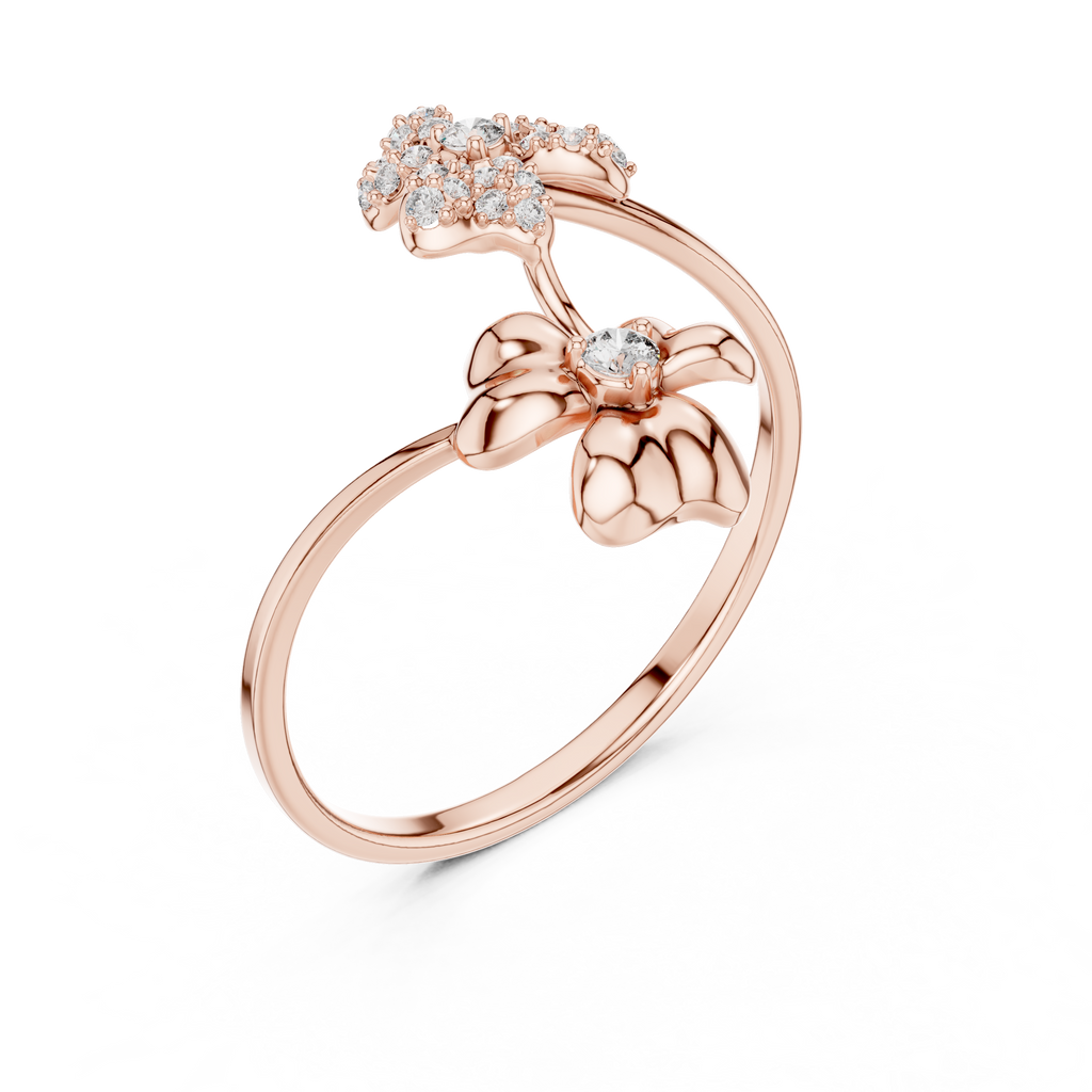 The Fancy Ring