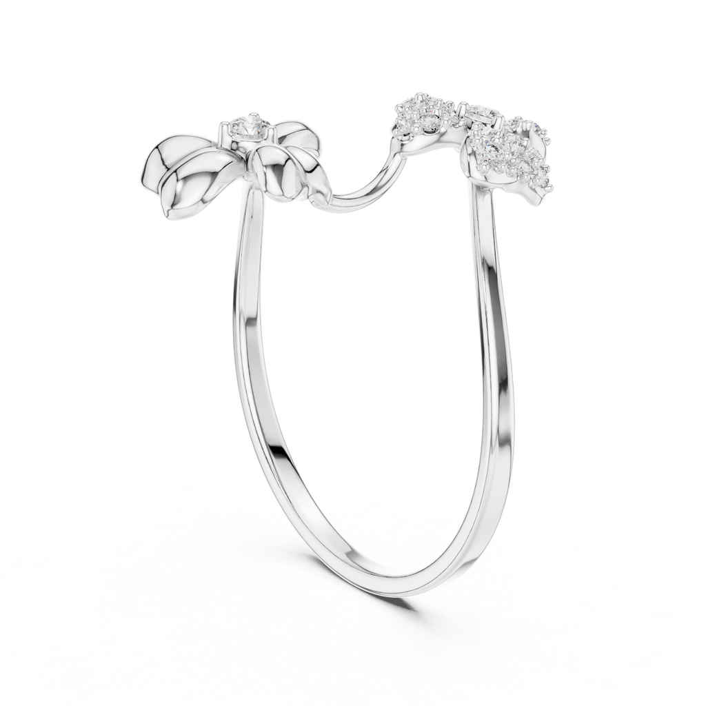 The Fancy Ring