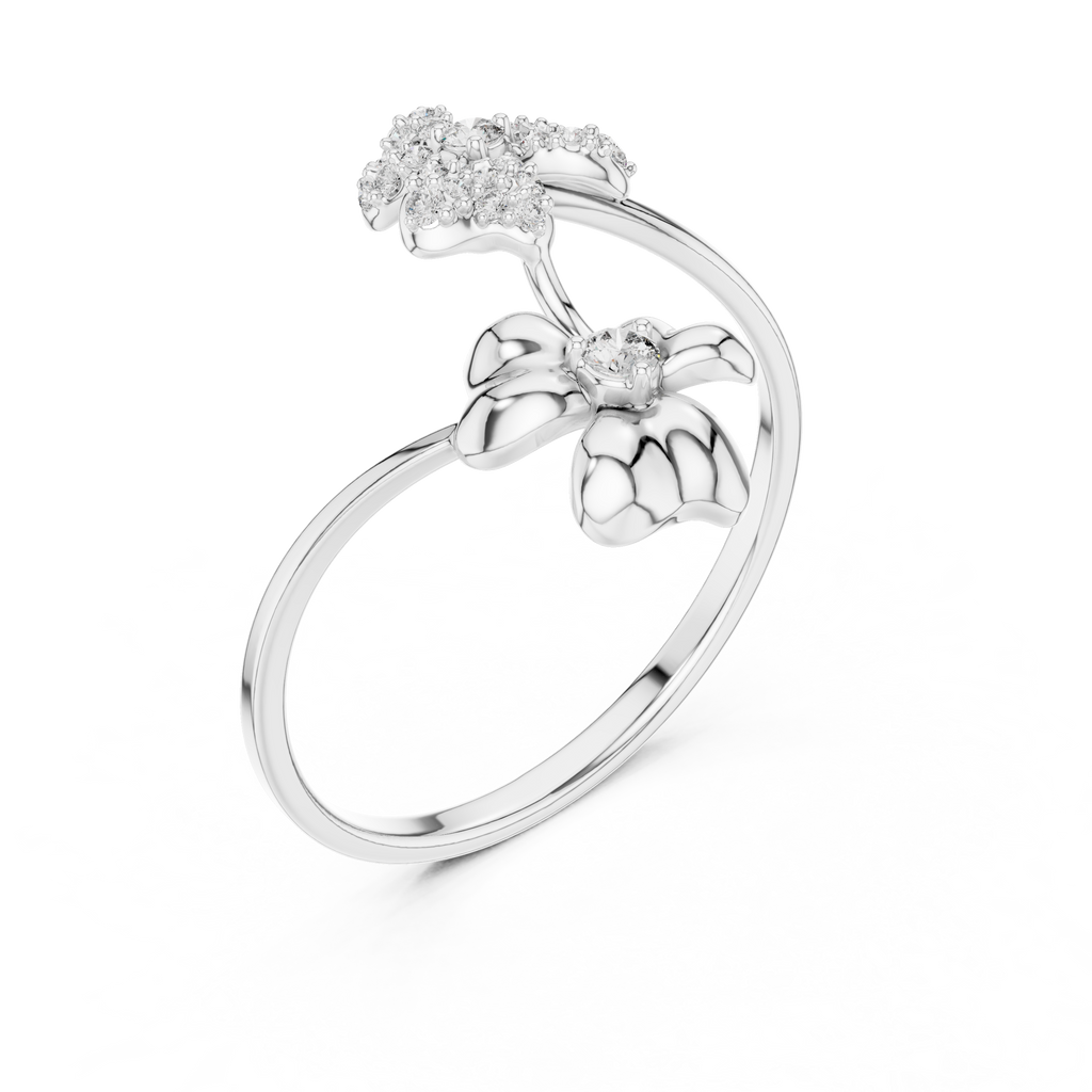 The Fancy Ring