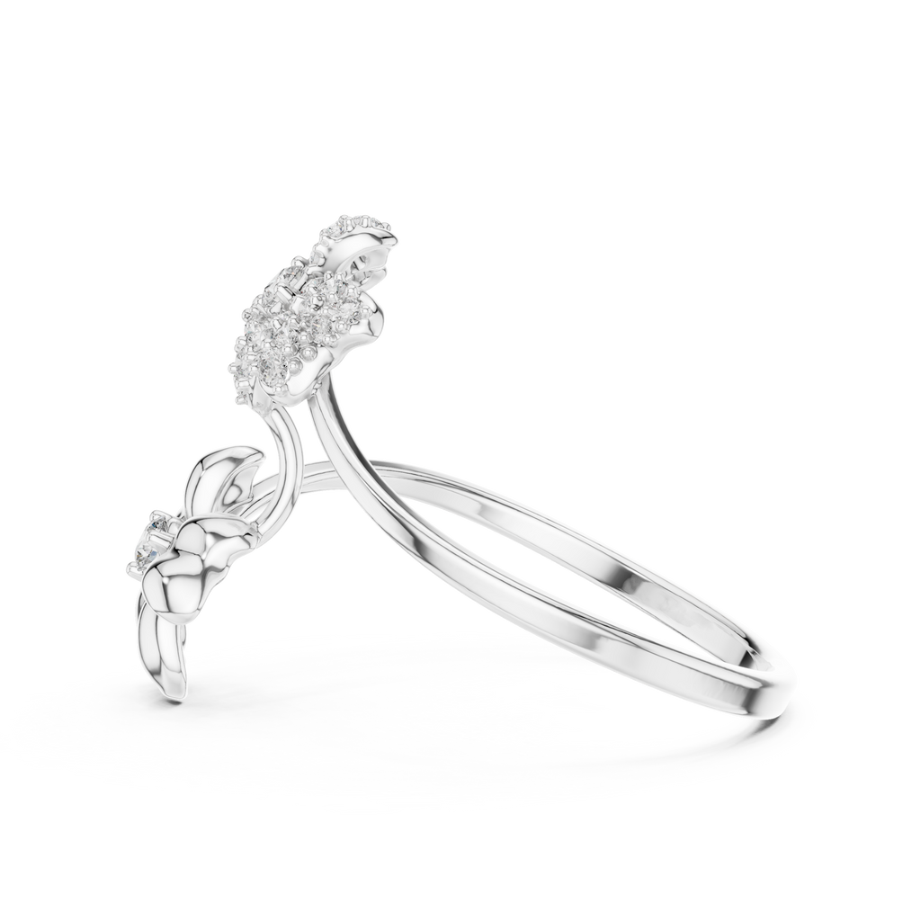 The Fancy Ring