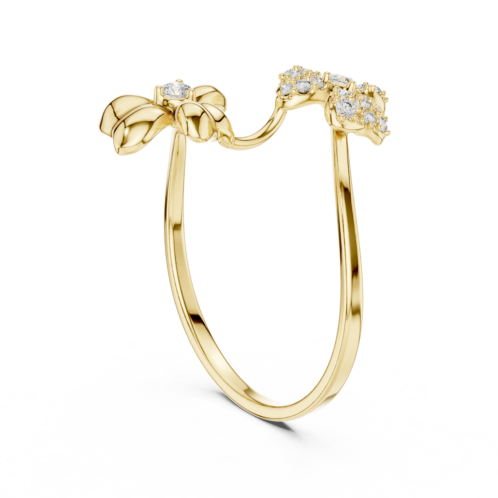 The Fancy Ring