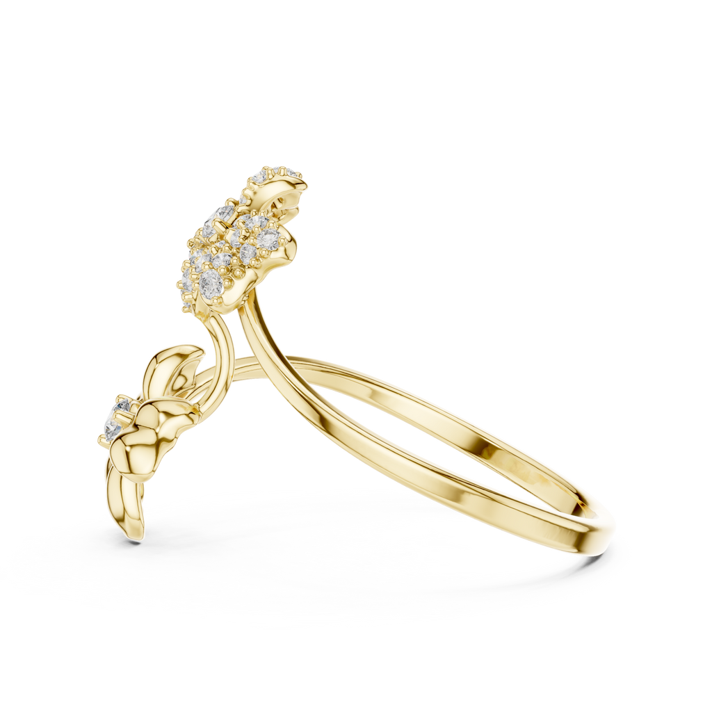 The Fancy Ring