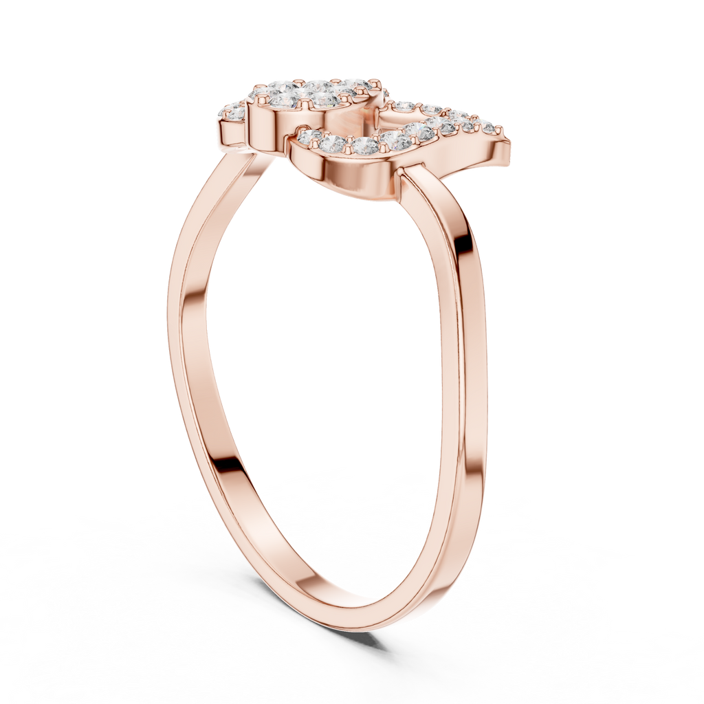 The Fancy Ring