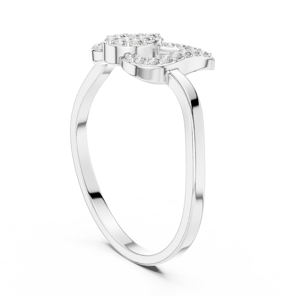 The Fancy Ring