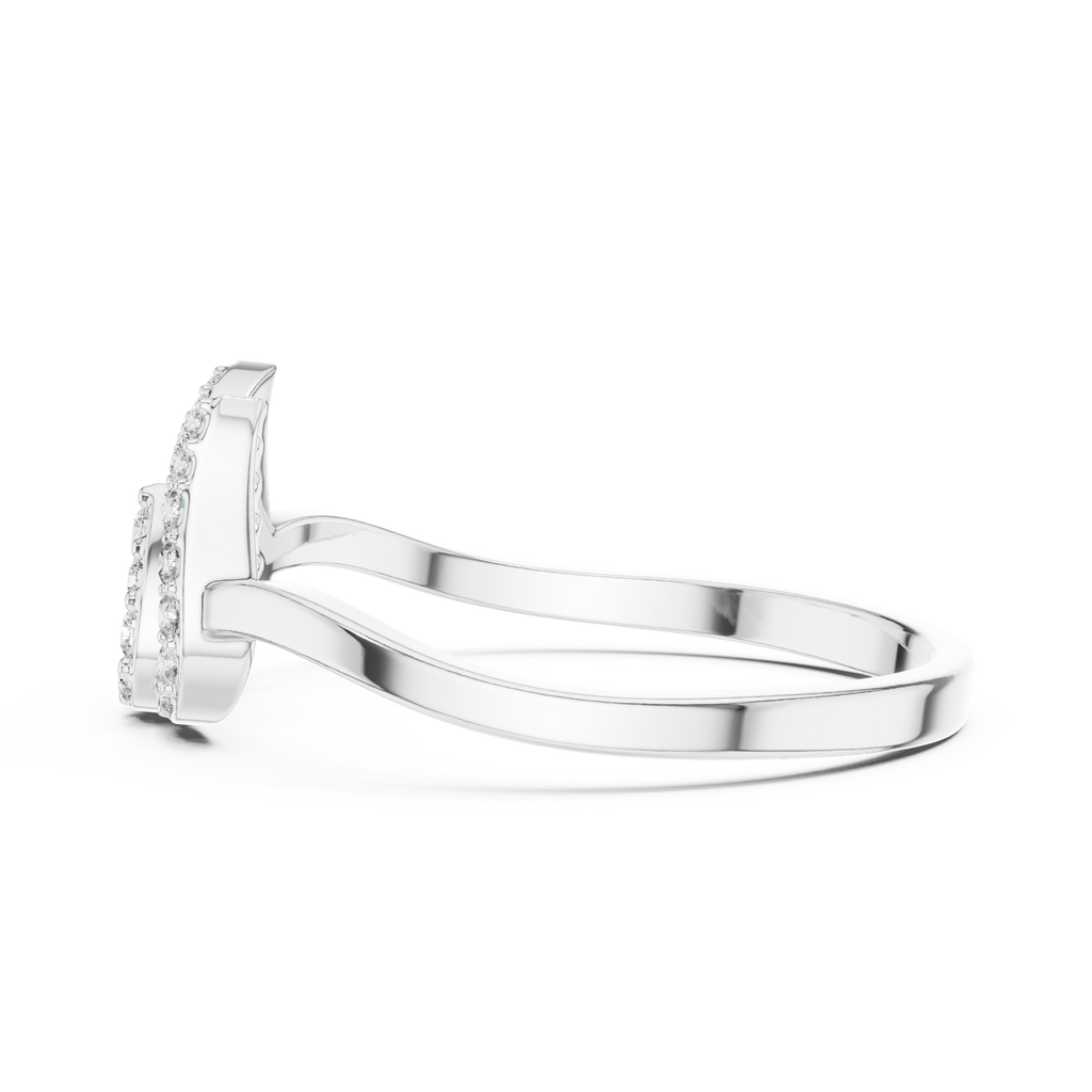 The Fancy Ring