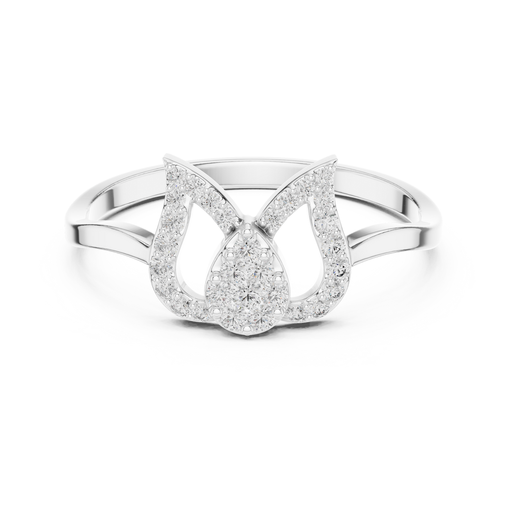 The Fancy Ring