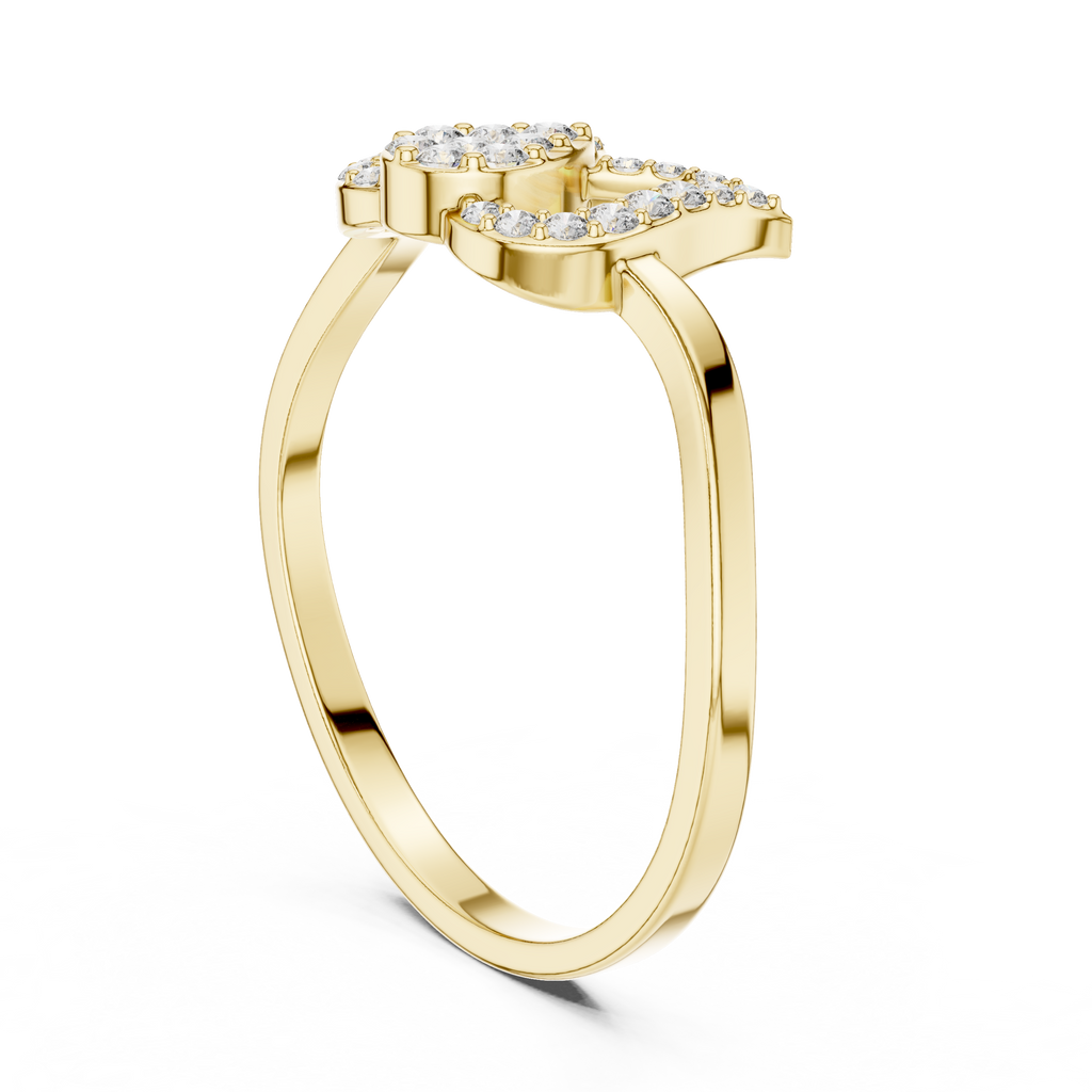 The Fancy Ring