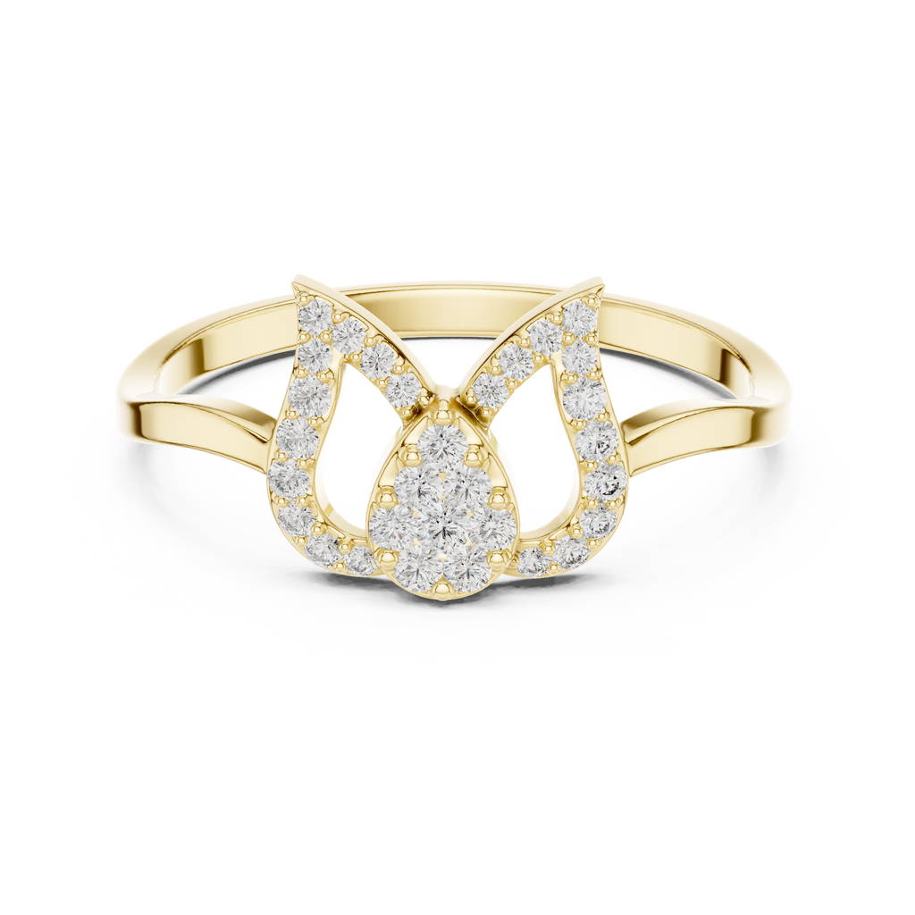 The Fancy Ring