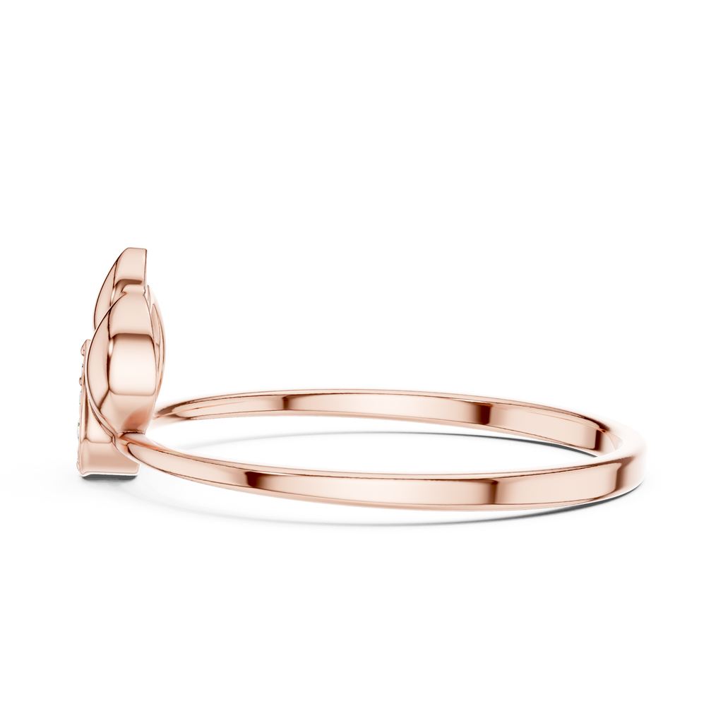 The Essential Ring