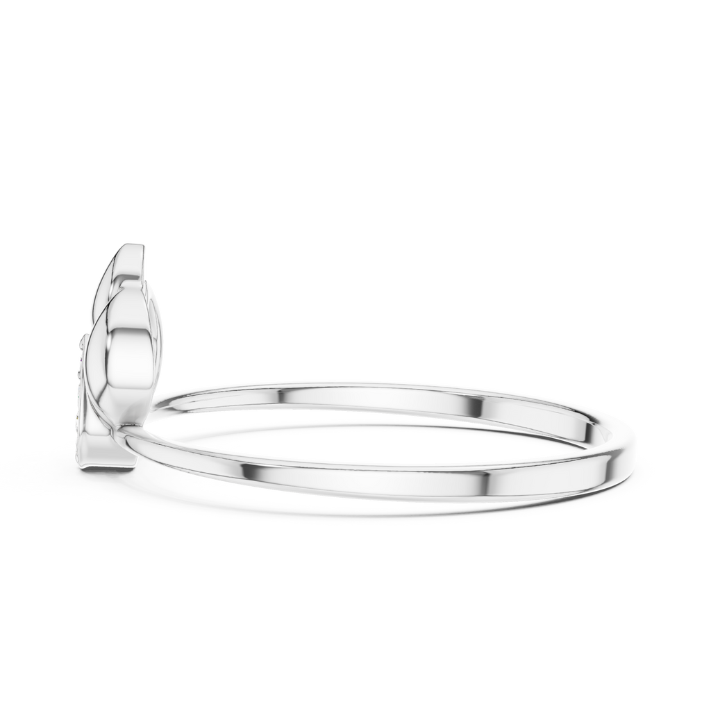 The Essential Ring