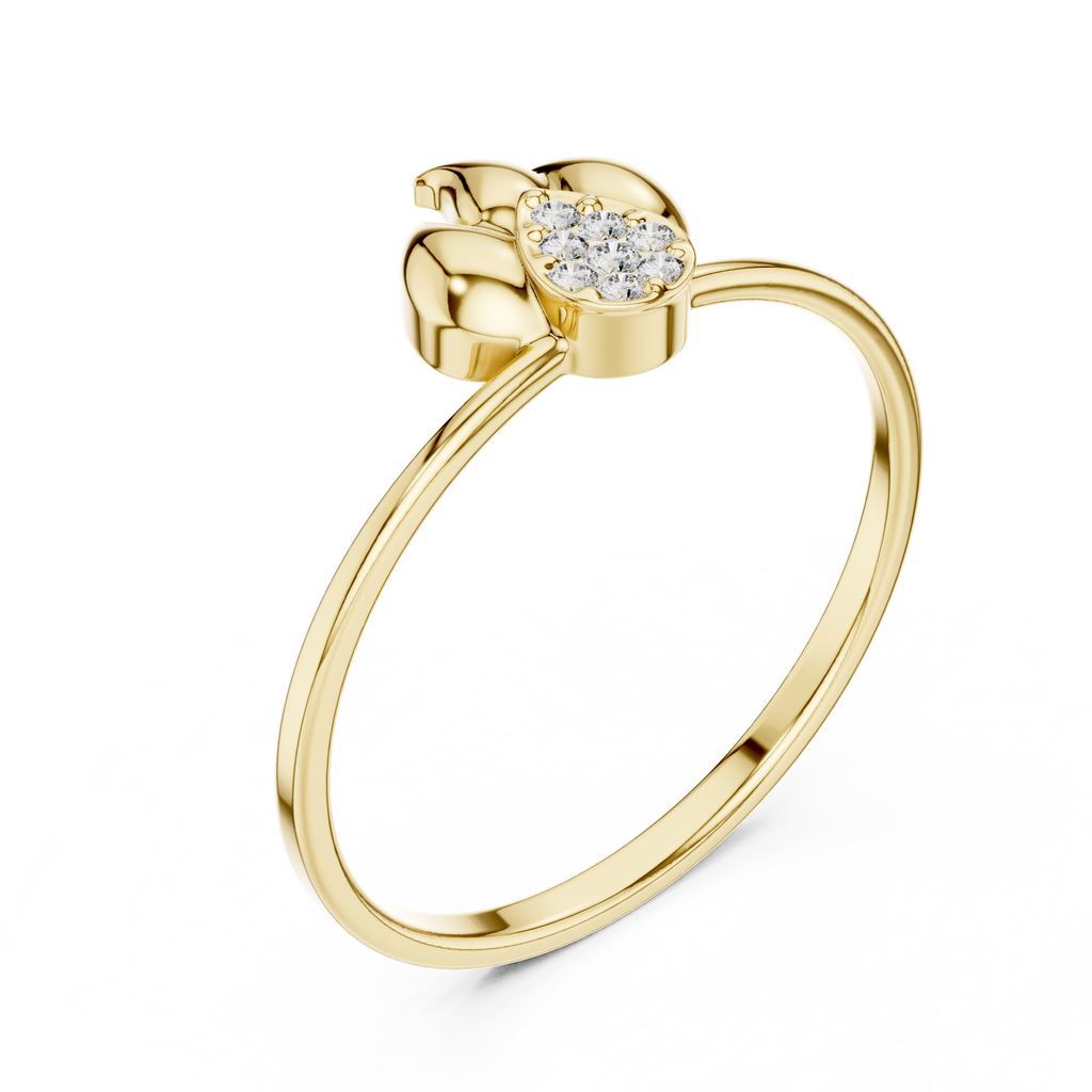 The Essential Ring