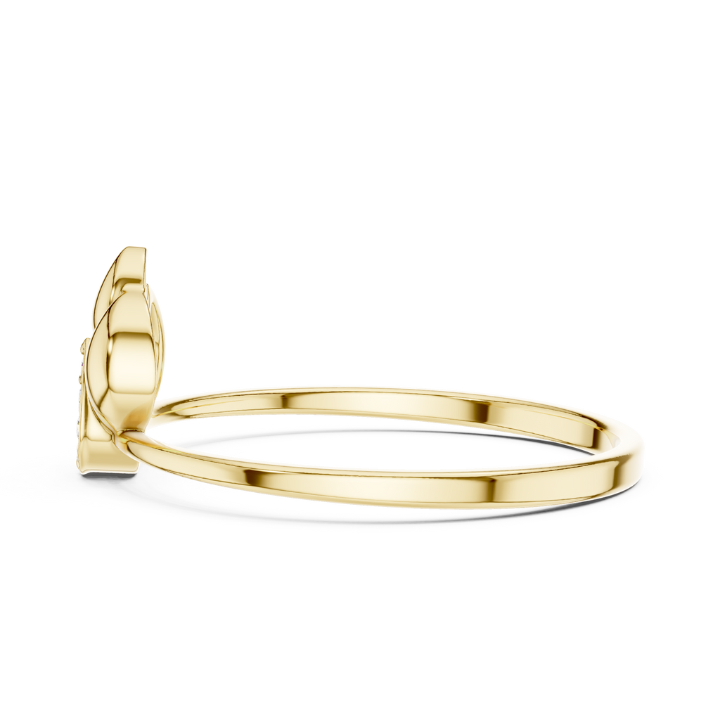 The Essential Ring