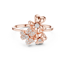 Load image into Gallery viewer, The Iconic Ring