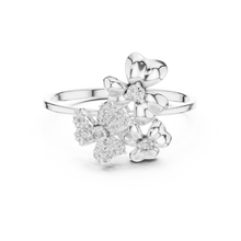 Load image into Gallery viewer, The Iconic Ring