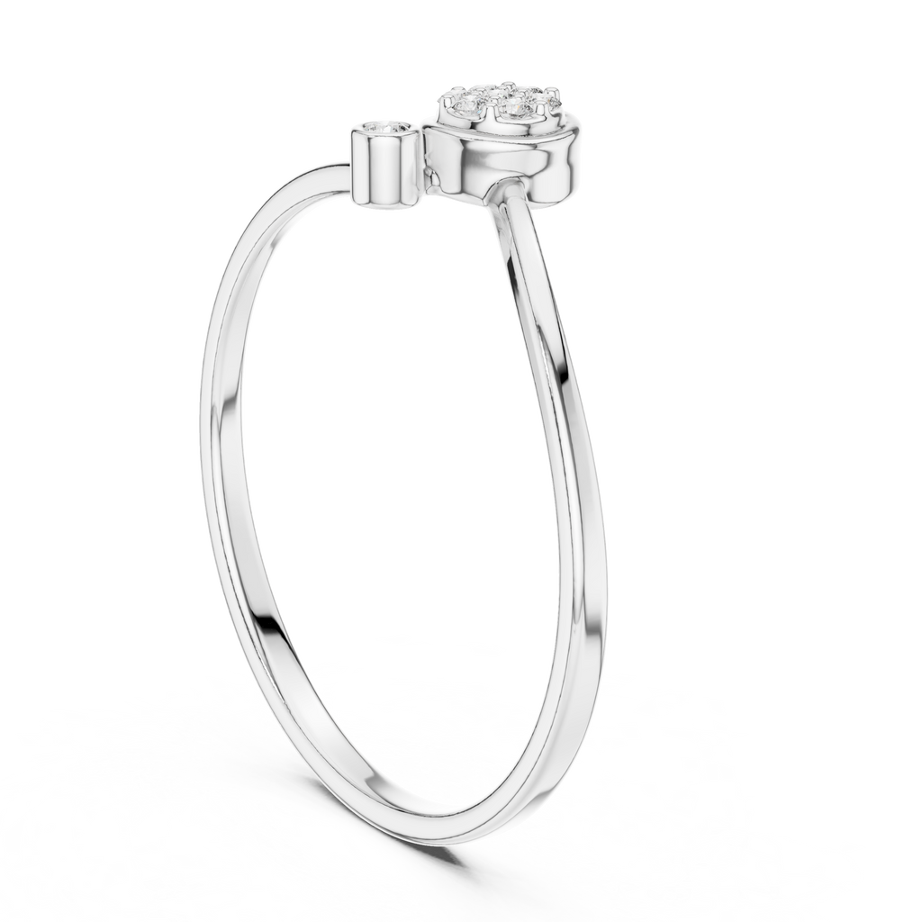 The Essential Ring