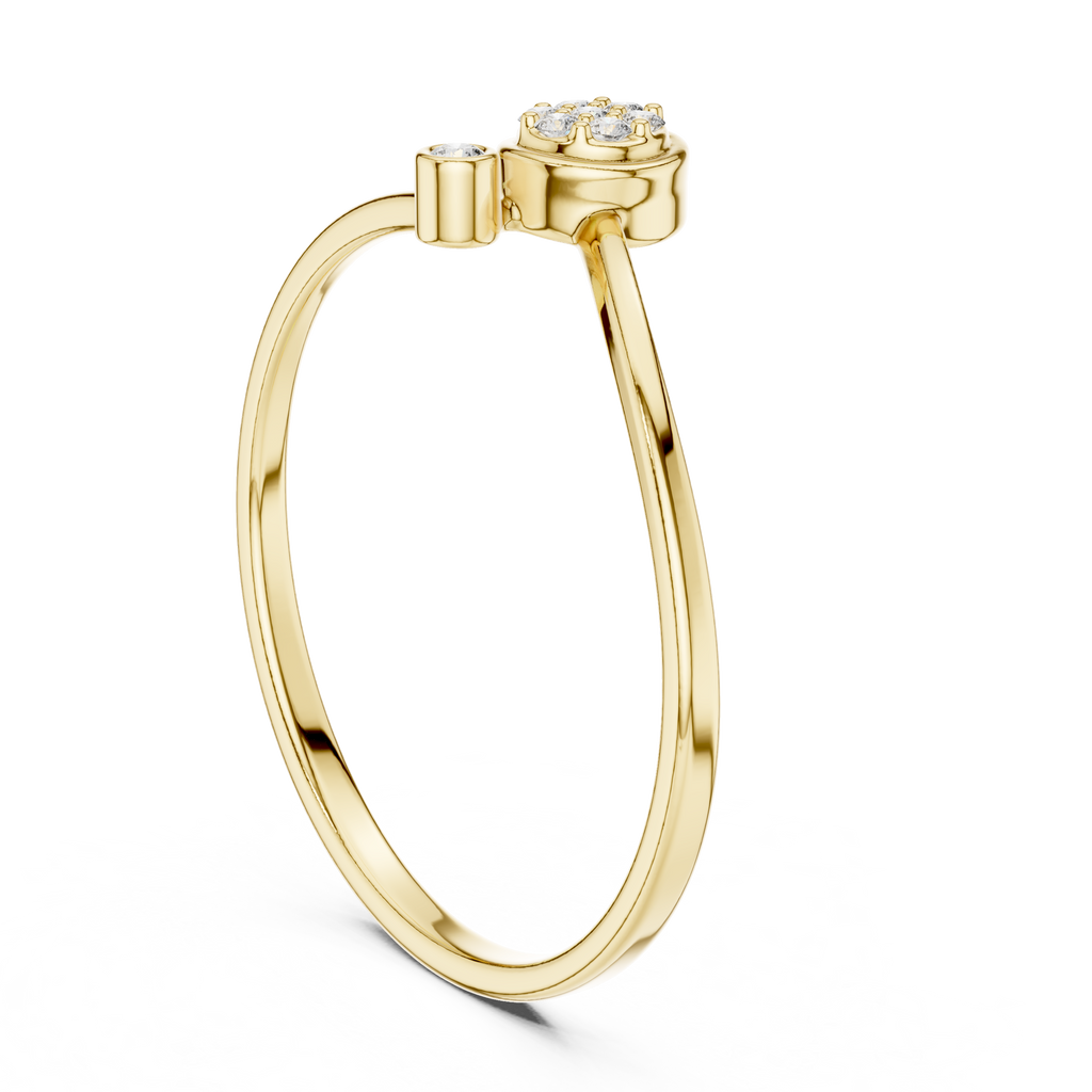 The Essential Ring
