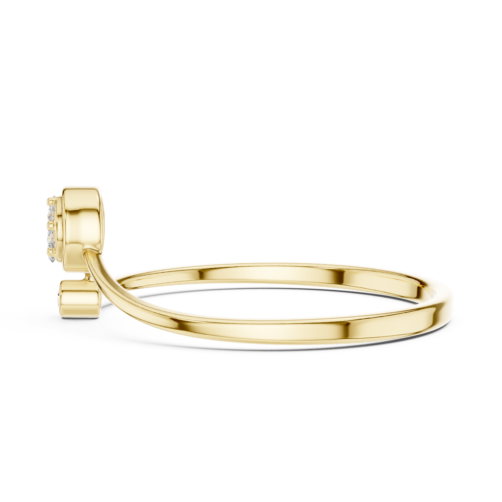 The Essential Ring