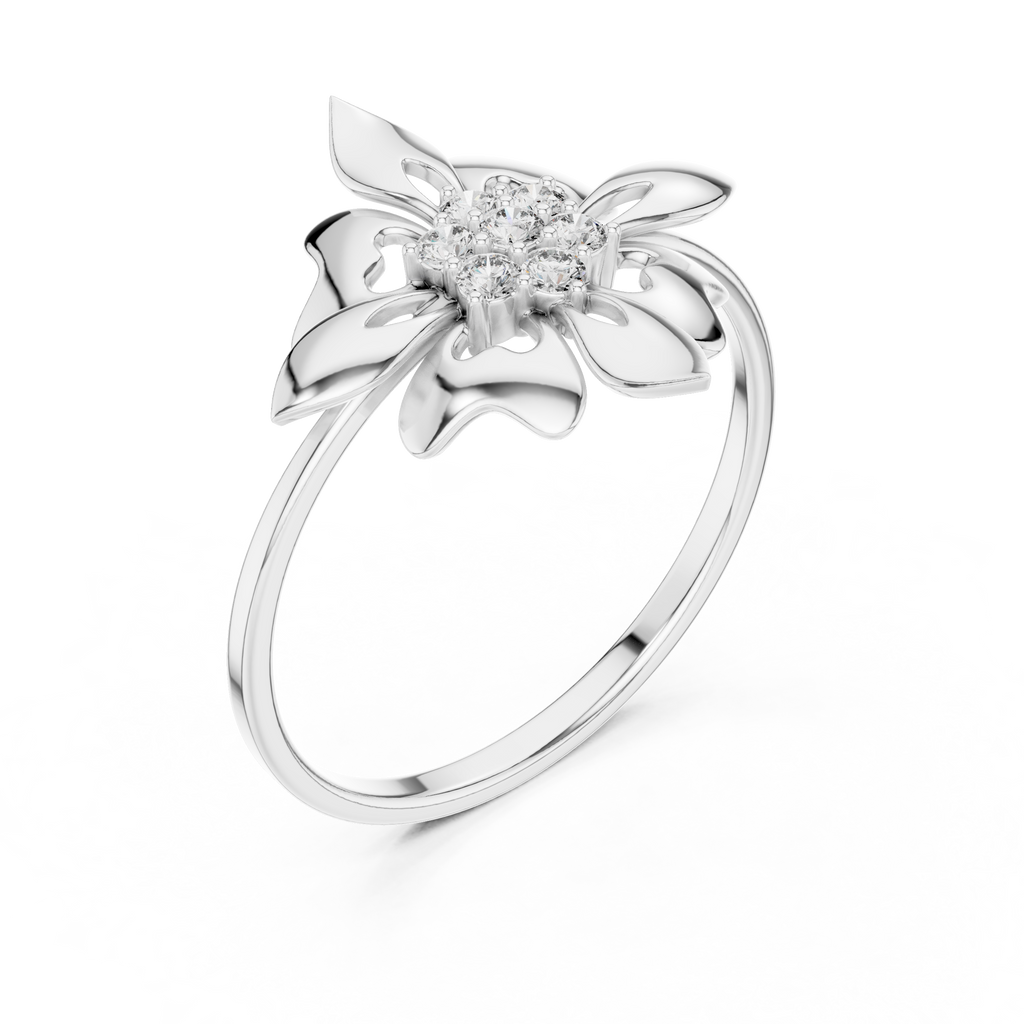 The Fancy Ring