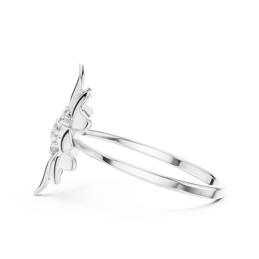 The Fancy Ring