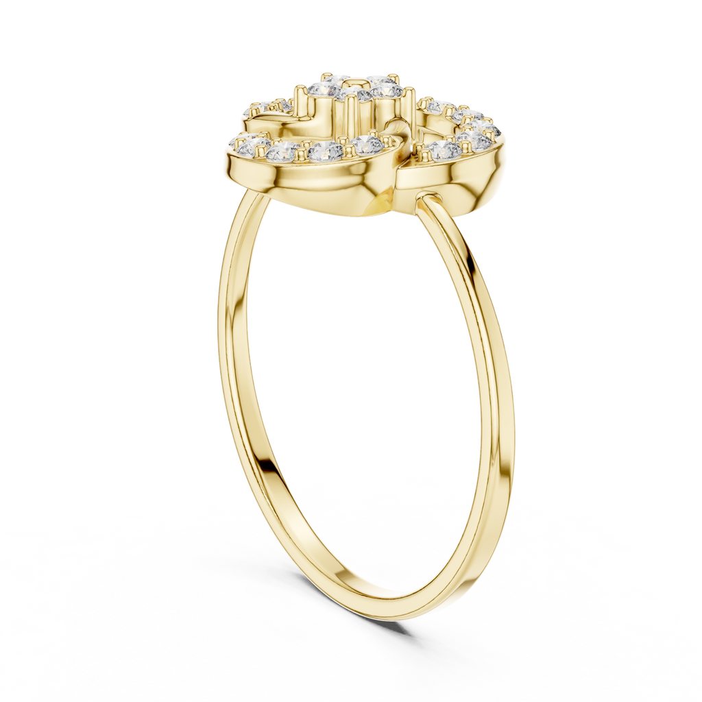 The Essential Ring