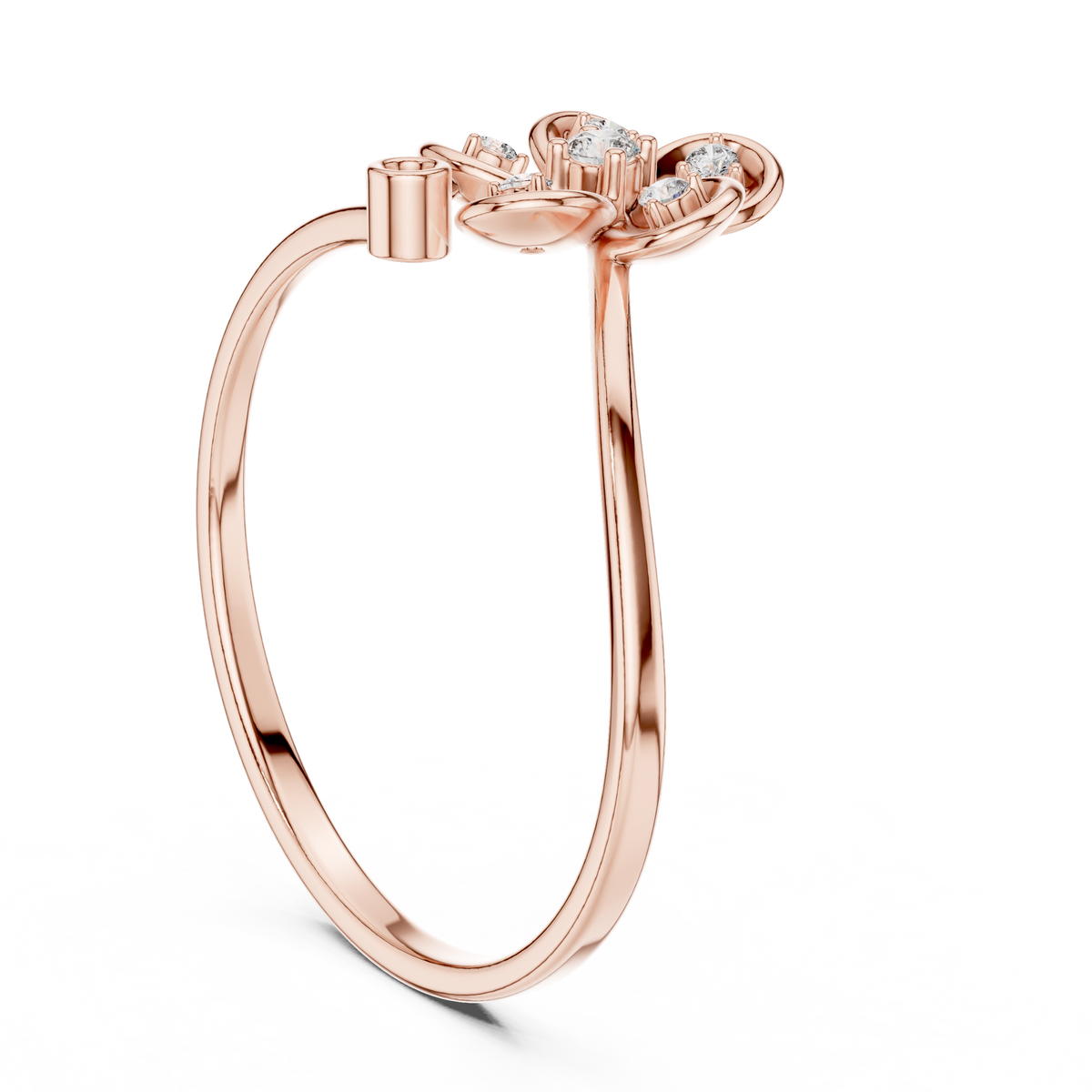 The Essential Ring