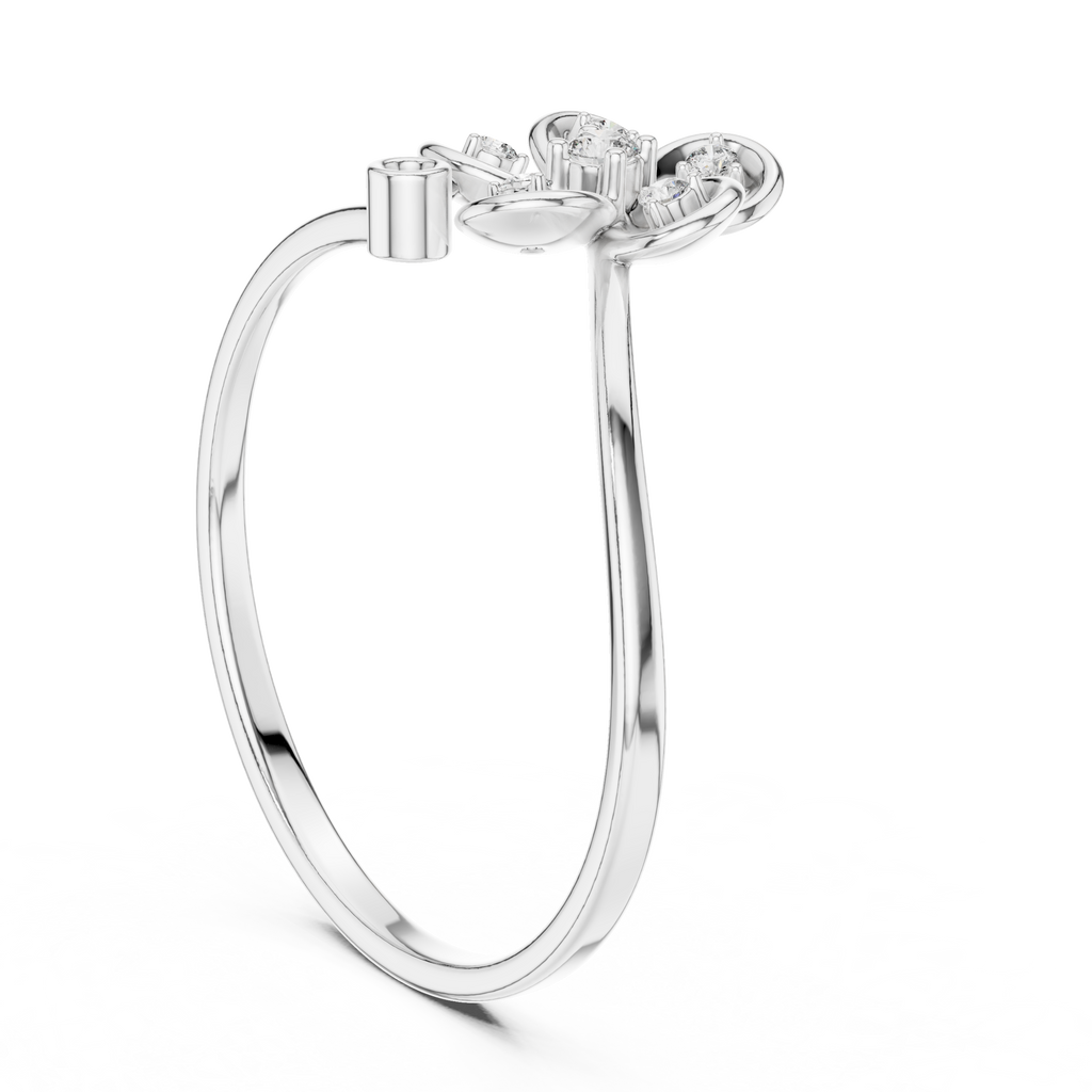 The Essential Ring