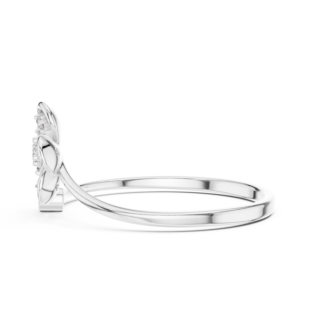 The Essential Ring