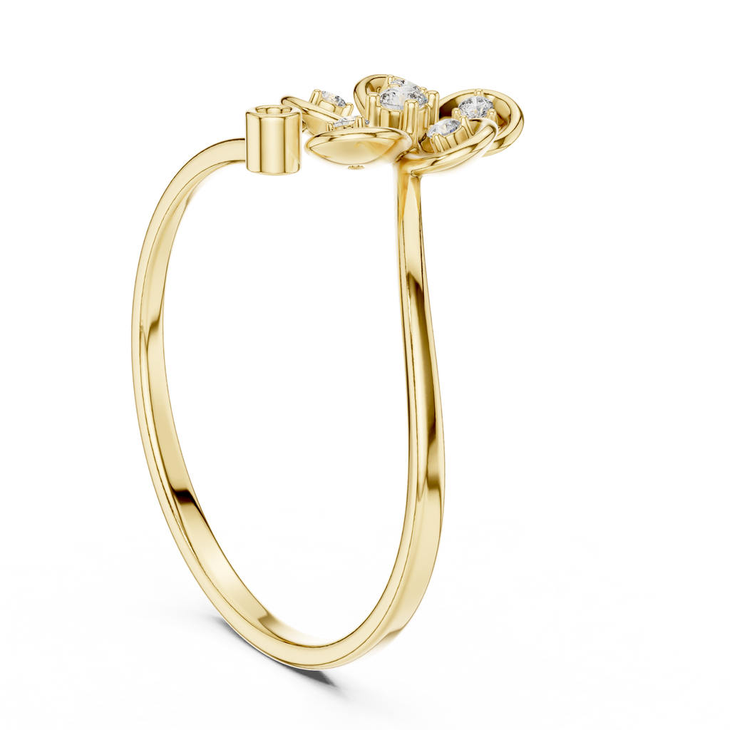 The Essential Ring