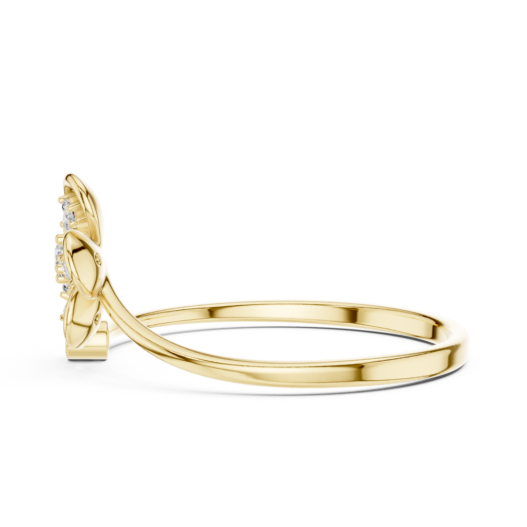 The Essential Ring