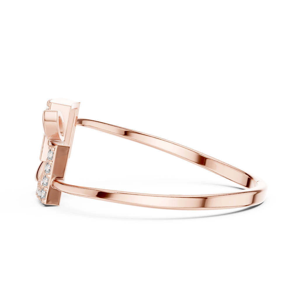 The Fancy Ring