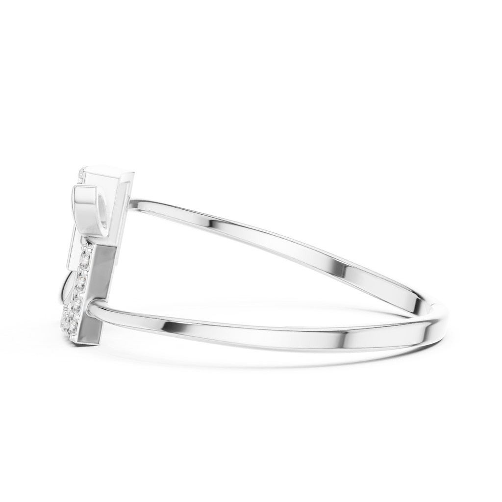 The Fancy Ring
