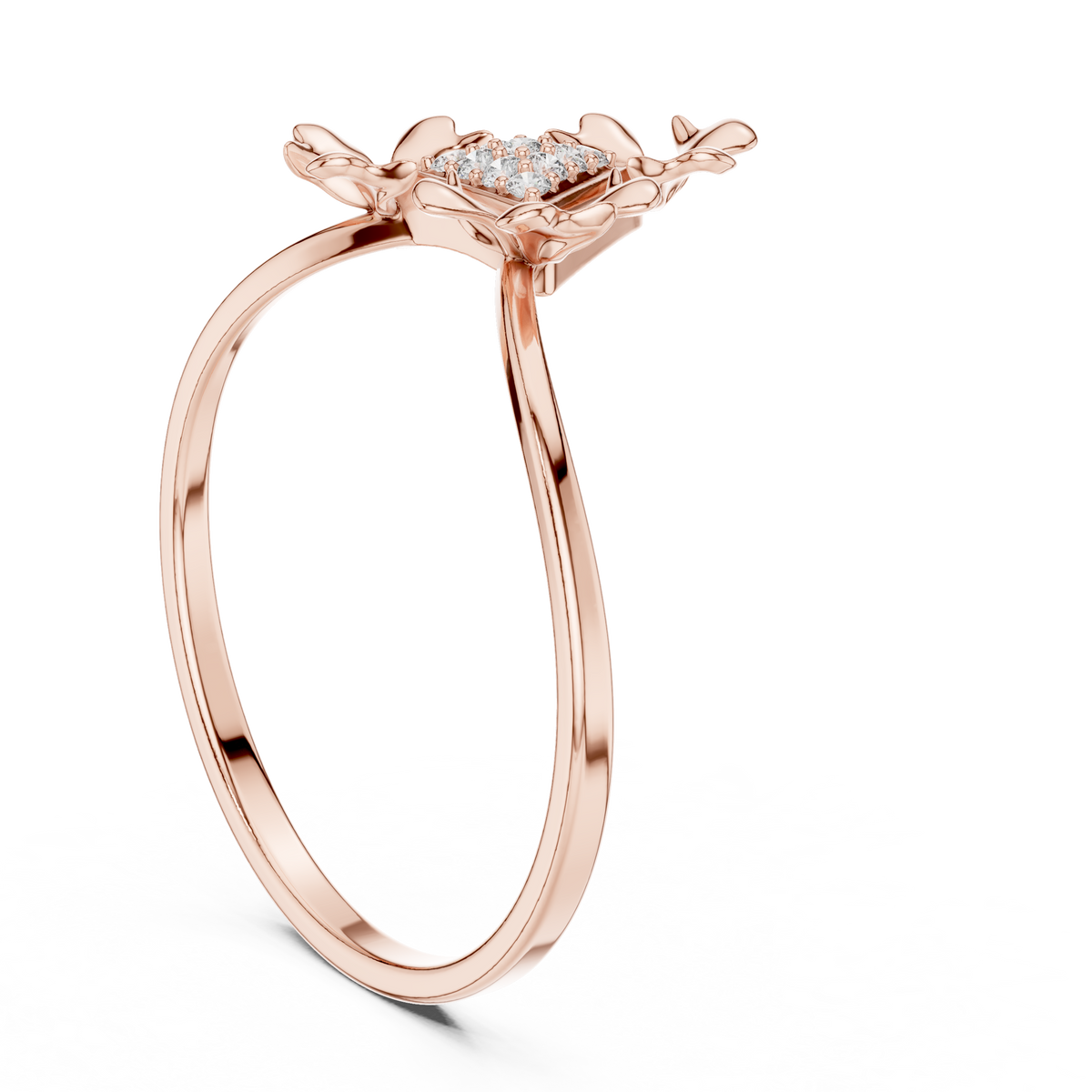 The Fancy Ring