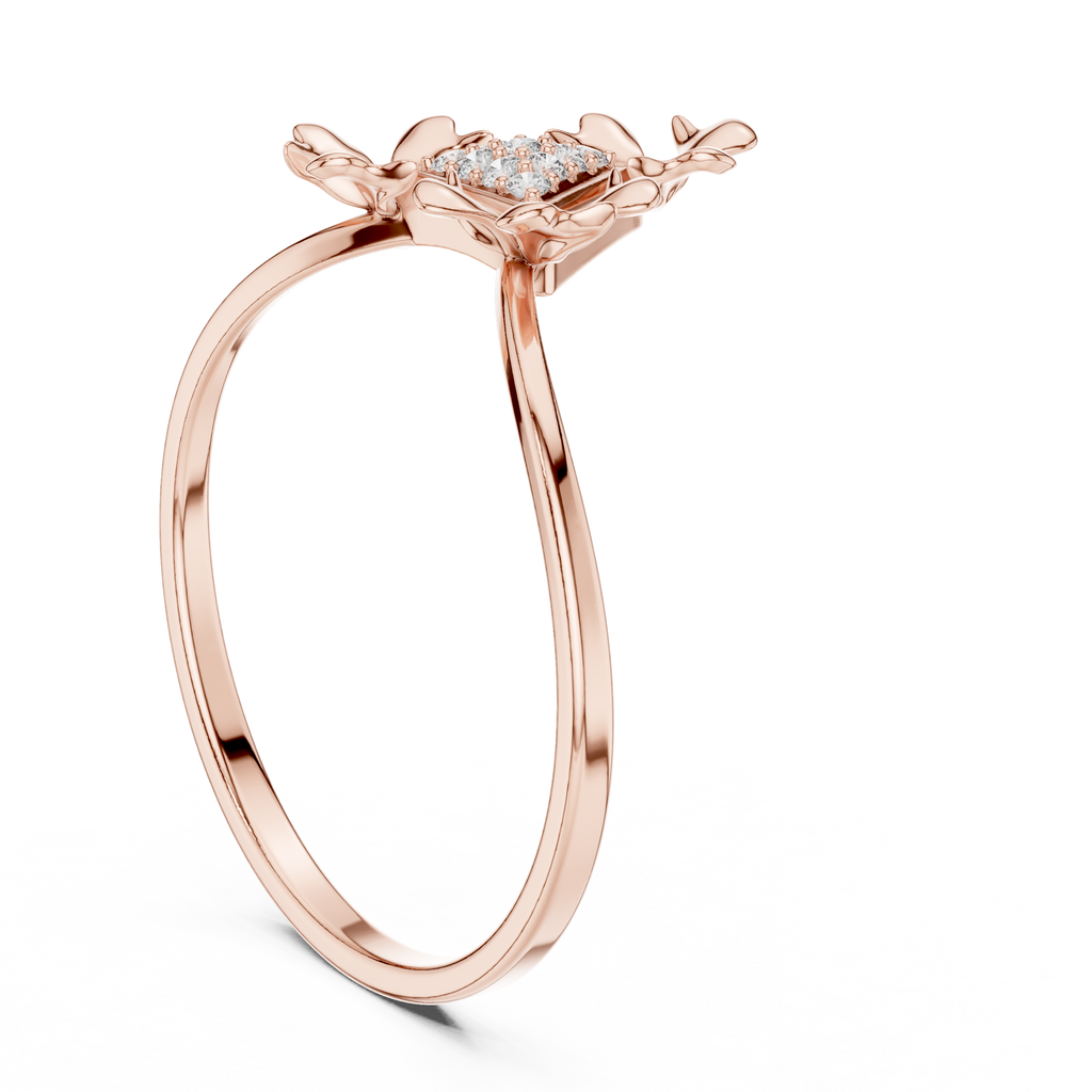 The Fancy Ring