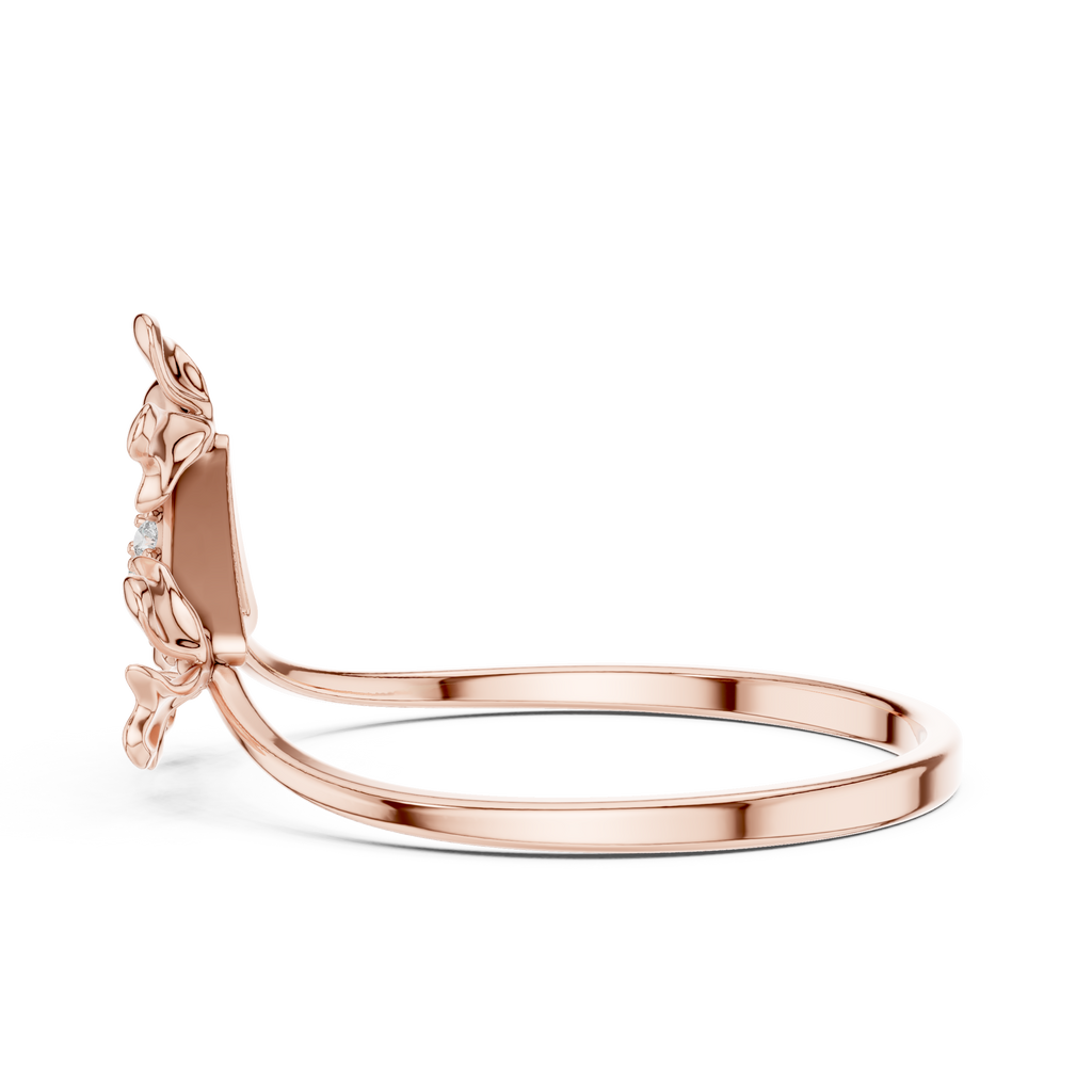 The Fancy Ring