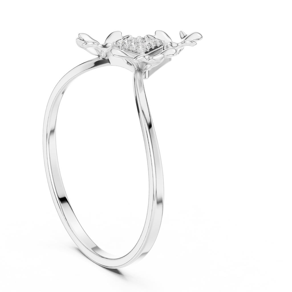The Fancy Ring