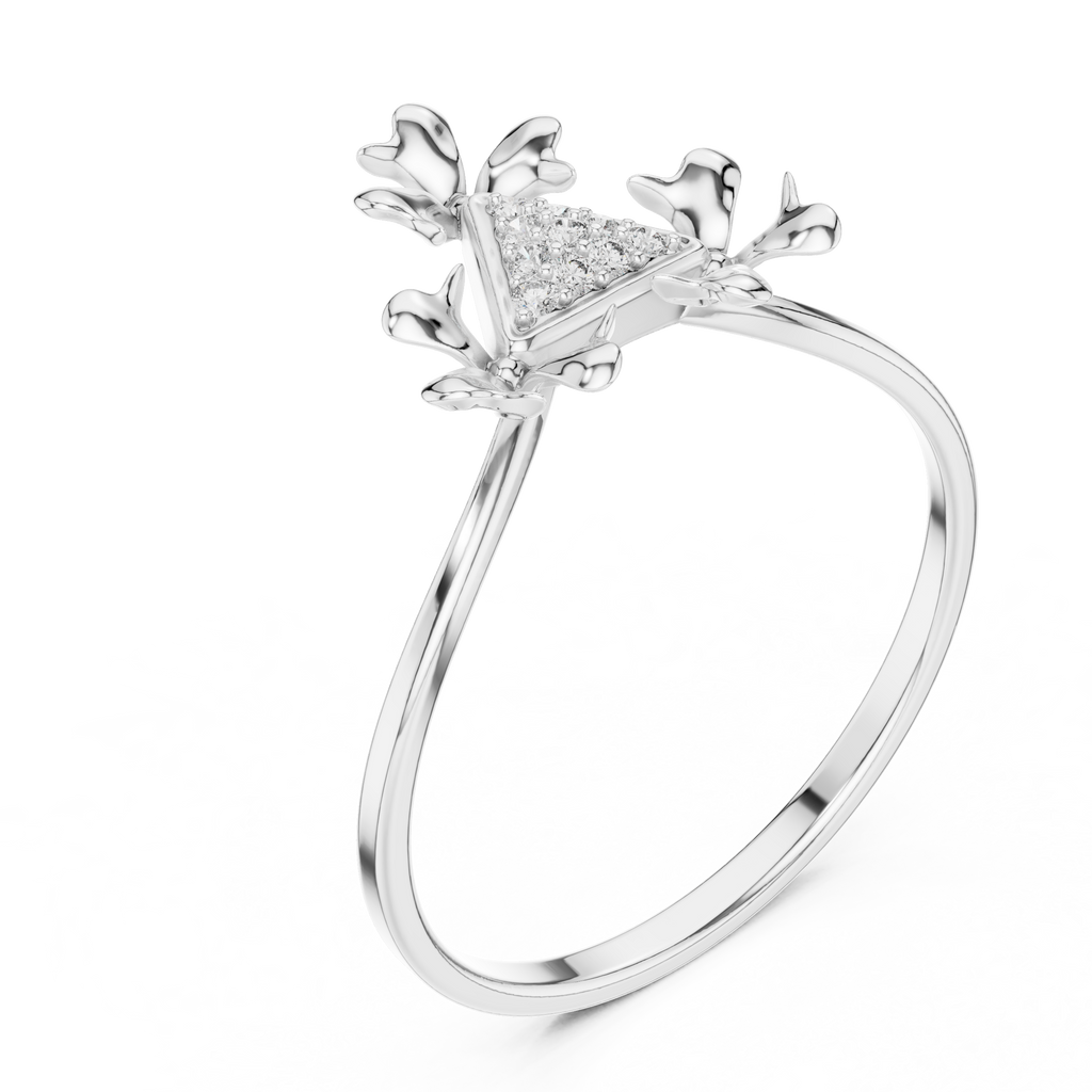 The Fancy Ring