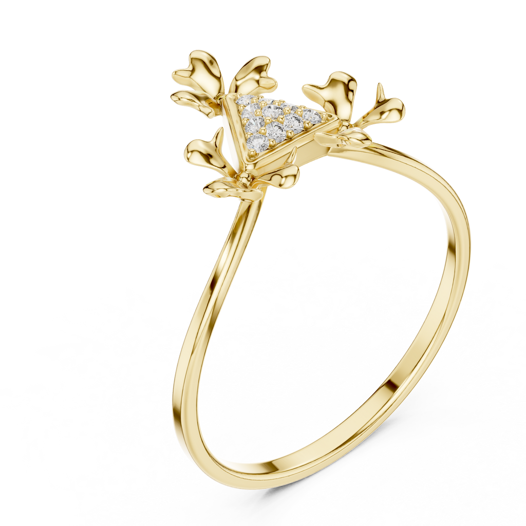 The Fancy Ring