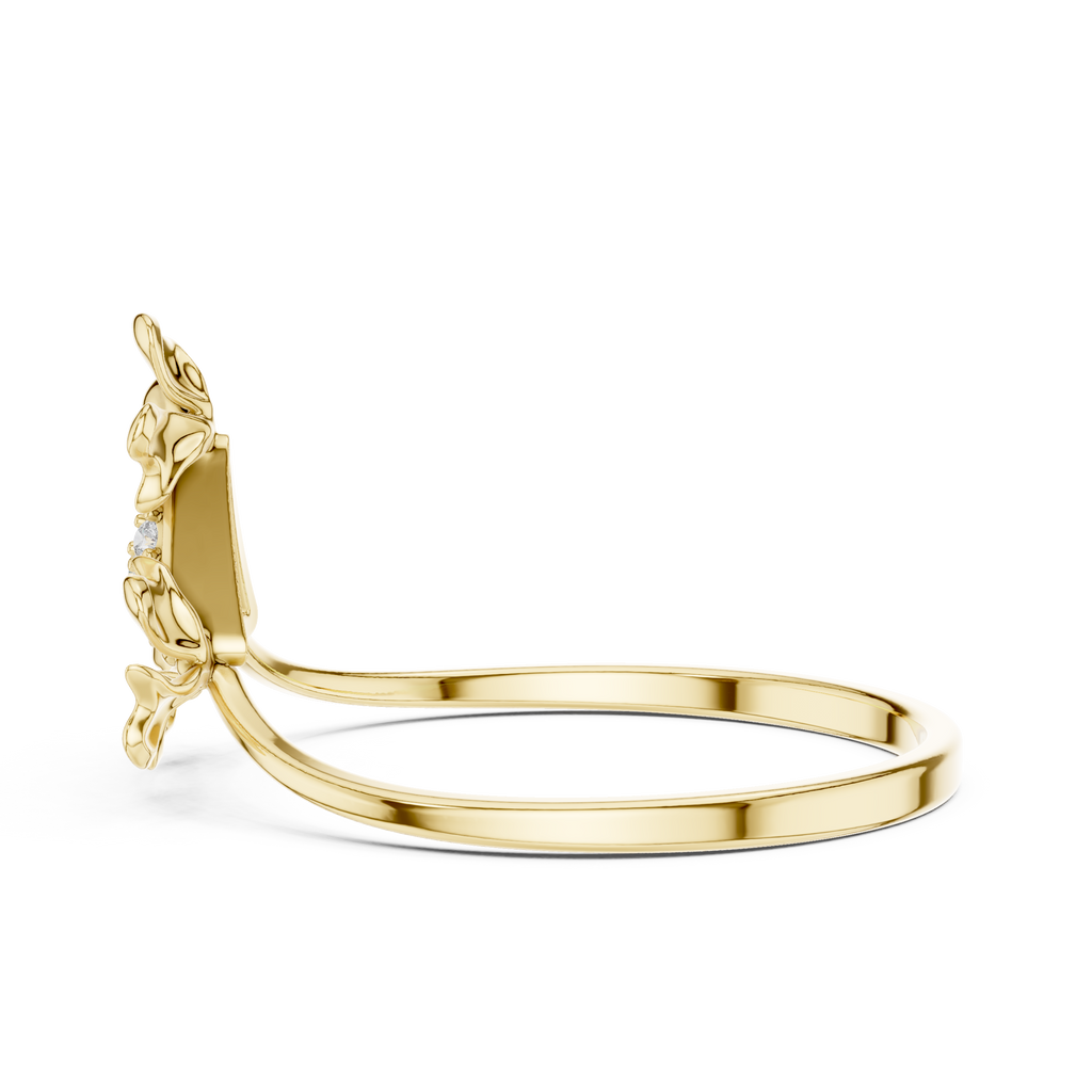 The Fancy Ring