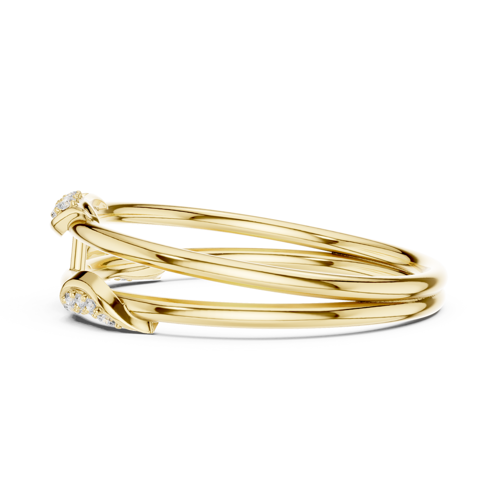 The Essential Ring
