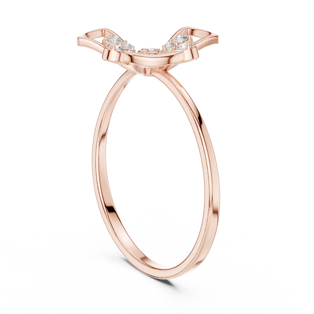 The Essential Ring