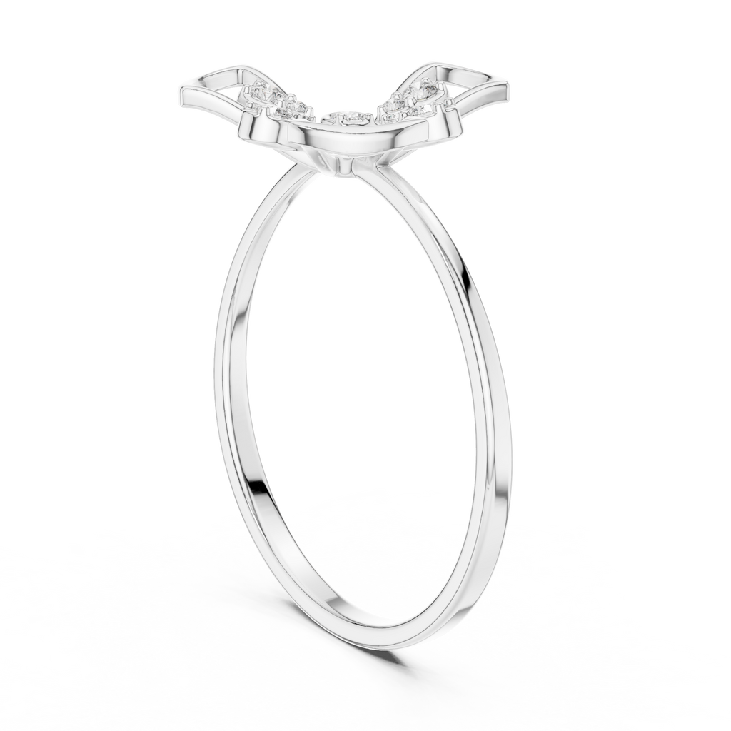 The Essential Ring