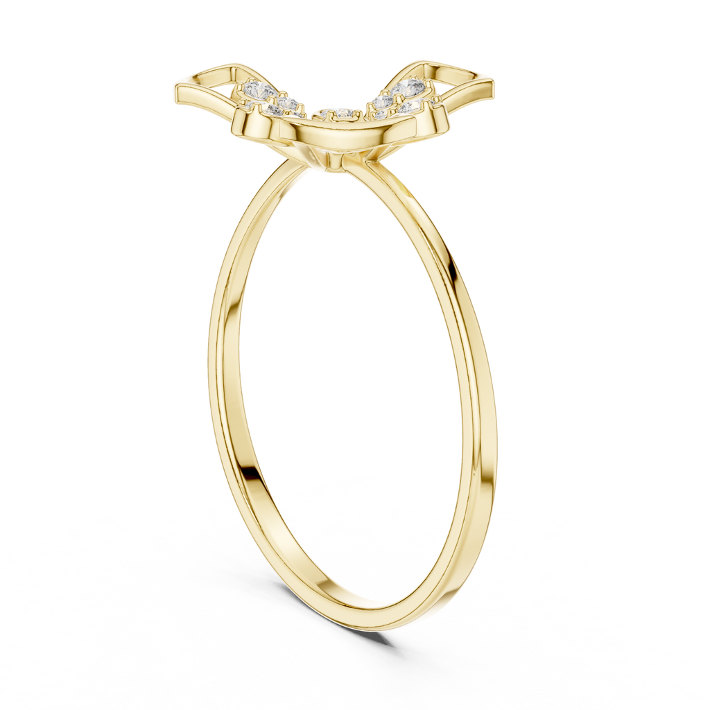 The Essential Ring