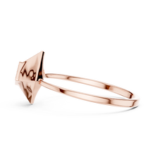 Load image into Gallery viewer, The Iconic Ring
