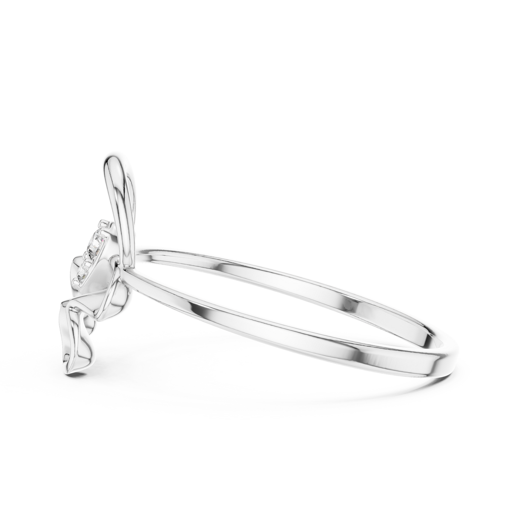 The Fancy Ring