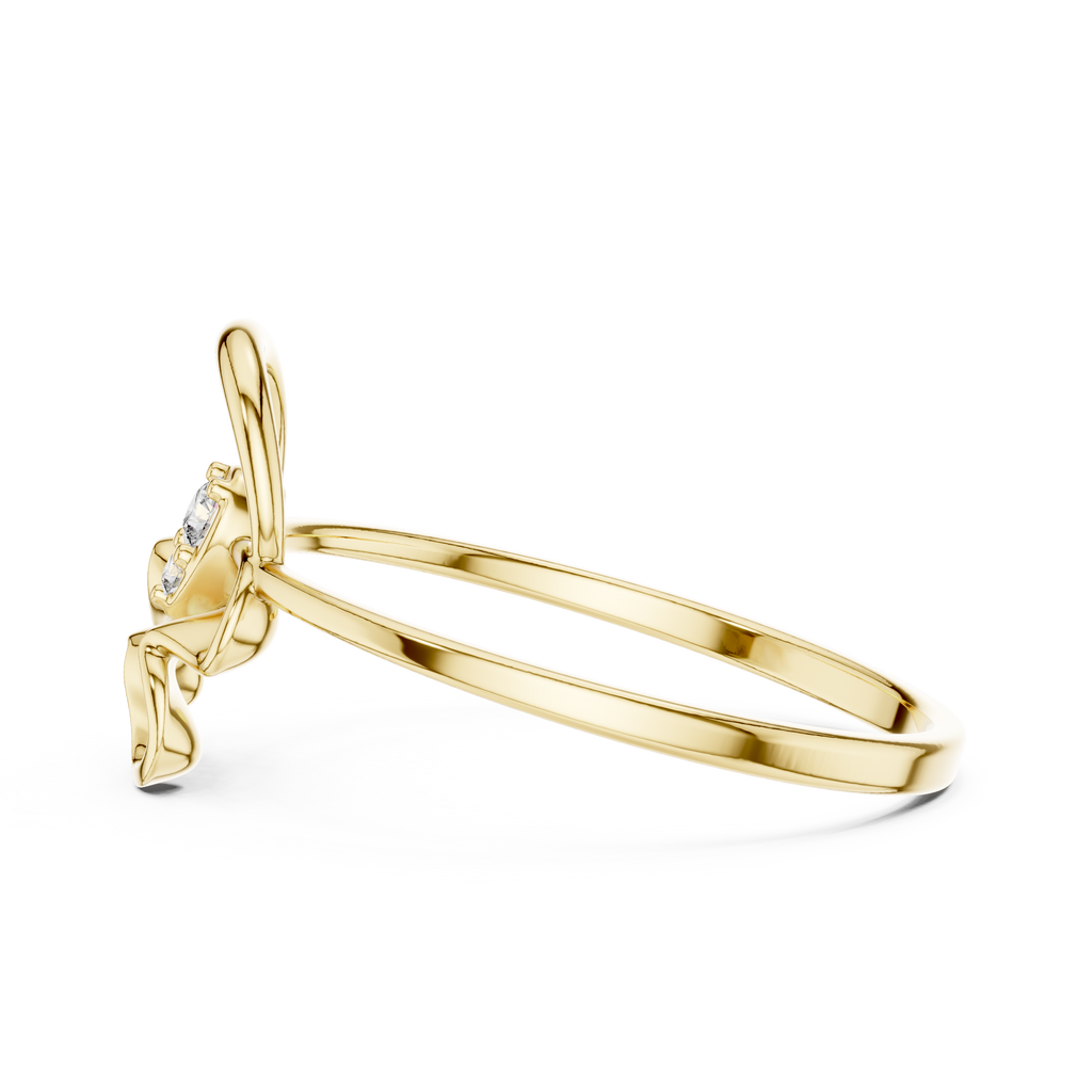 The Fancy Ring