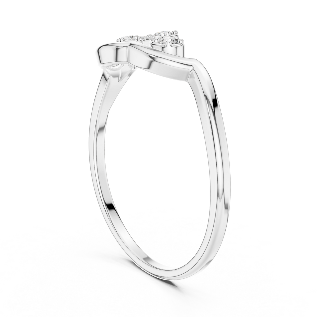 The Essential Ring