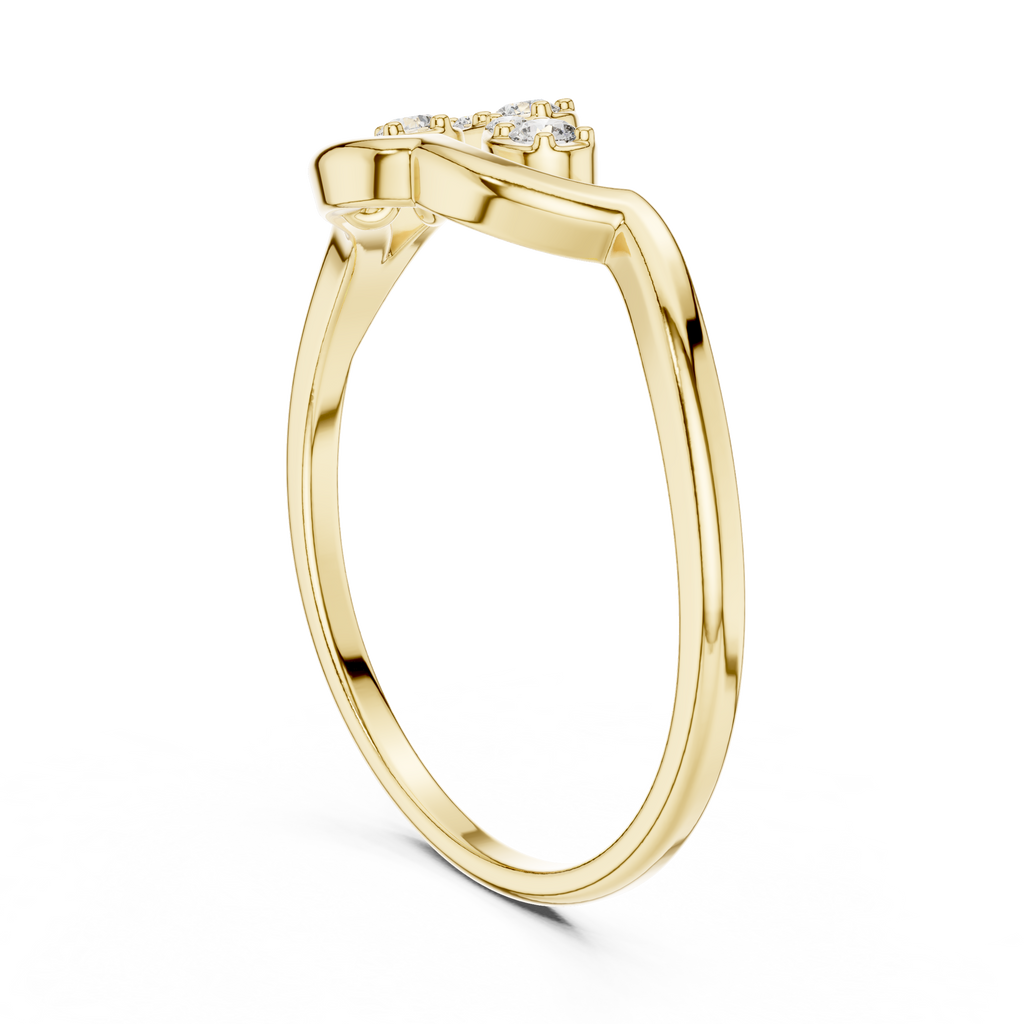 The Essential Ring